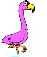 flamingo